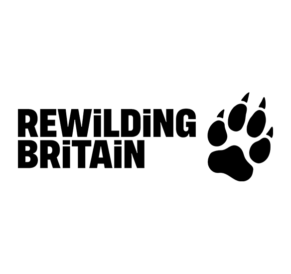 rewilding britain