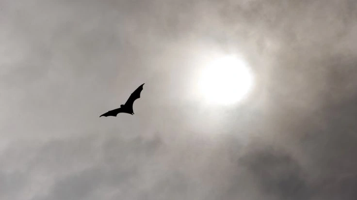 Spooktacular Installer Identity Quiz