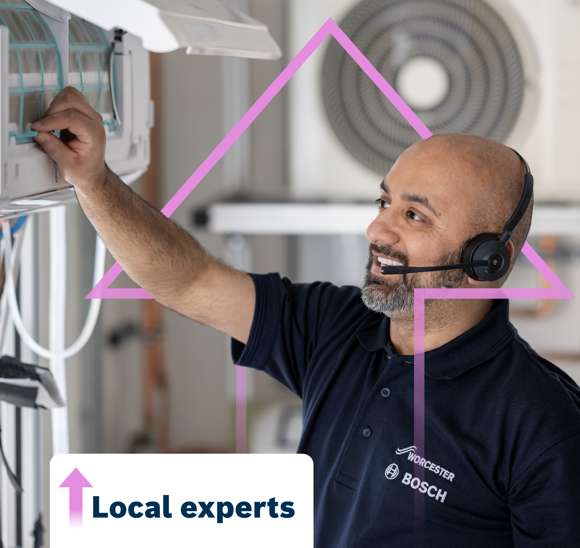 local experts