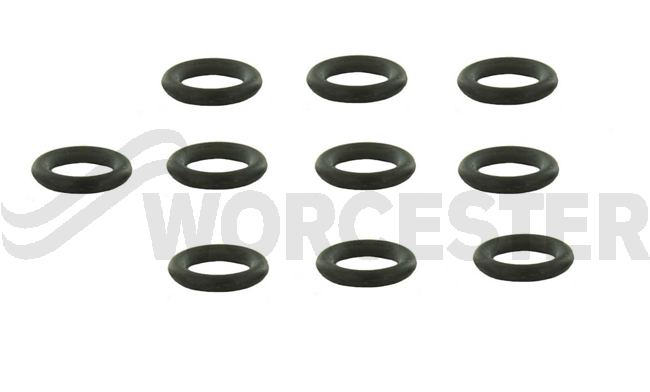 O-ring (10x)