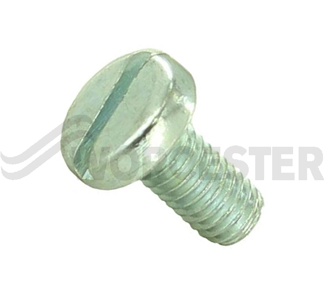 Screw m5x10mm slotted p/h m/s