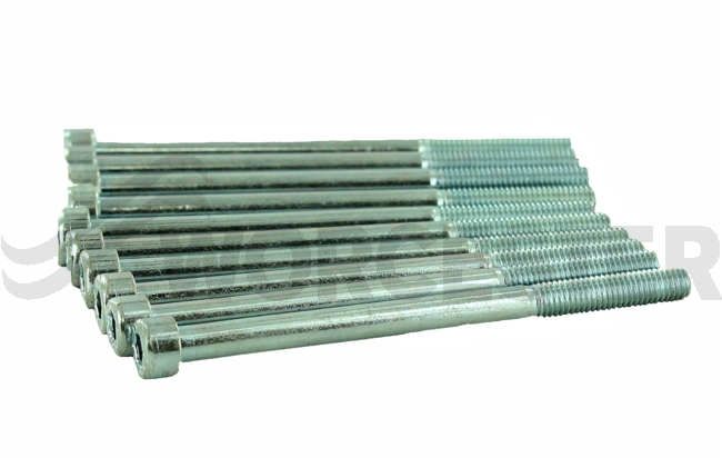 Screw (10x)