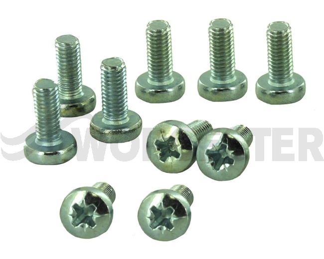 Screw M5X12 (10x)