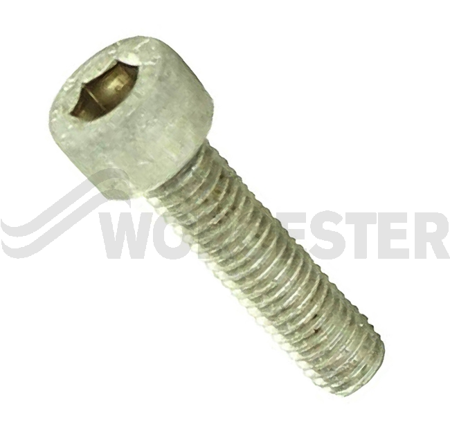 Screw M5 X 20 cap s/s