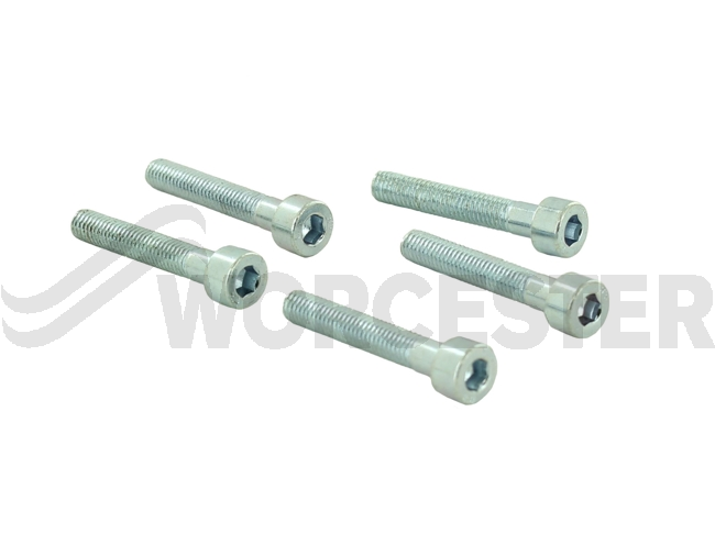 Screw M5x30 (5x)