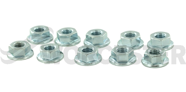 Set of nuts M6 (10x)