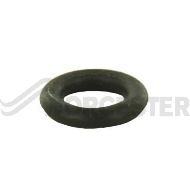 O-ring (10x)