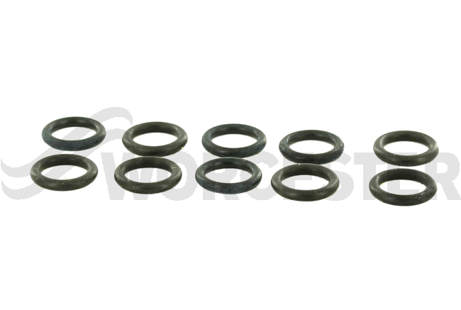 O-ring (10x)