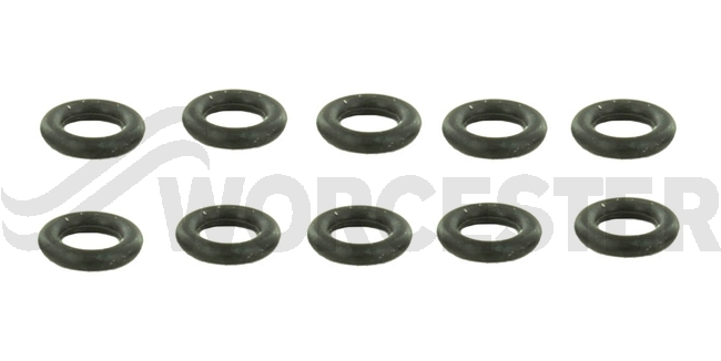 O-ring (10x)