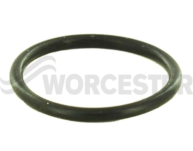 O-ring (10x)