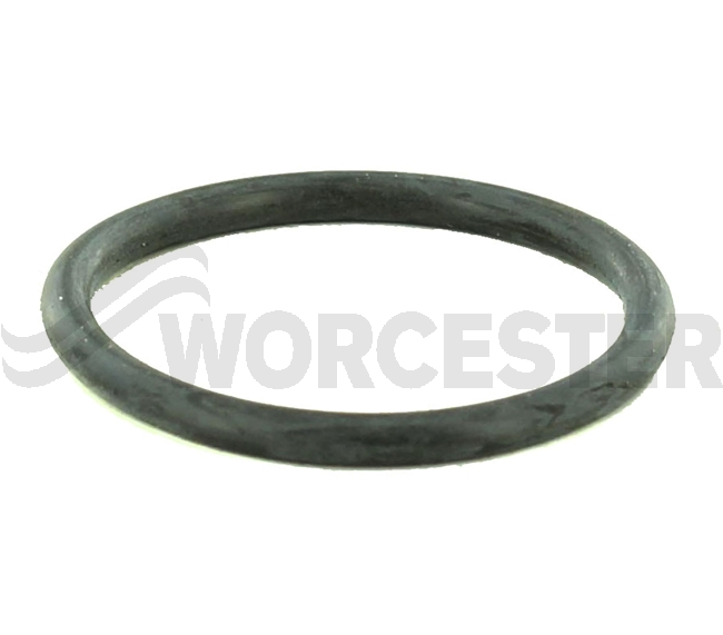 O-ring (10x)