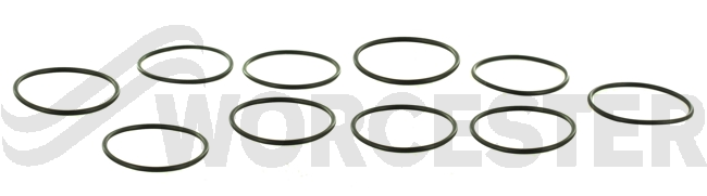 O-ring (10x)