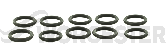 O-ring (10x)