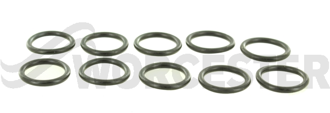 O-ring (10x)
