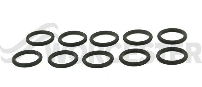 O-ring (10x)