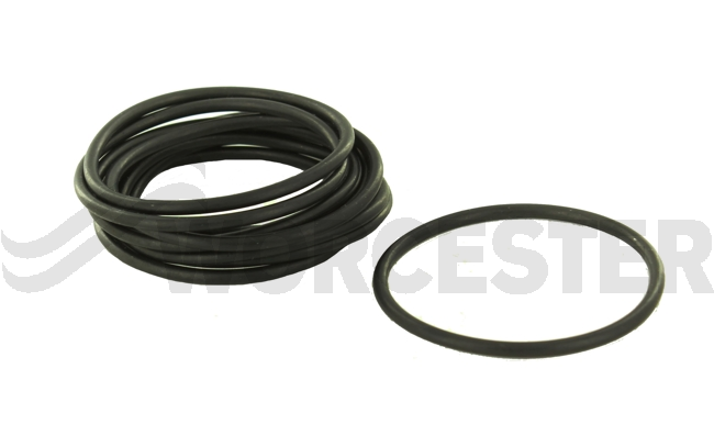 O-ring (10x)