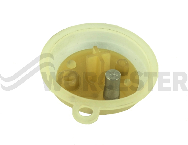 Diaphragm (A)