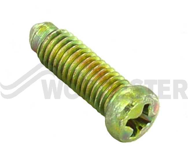 Screw (10x)