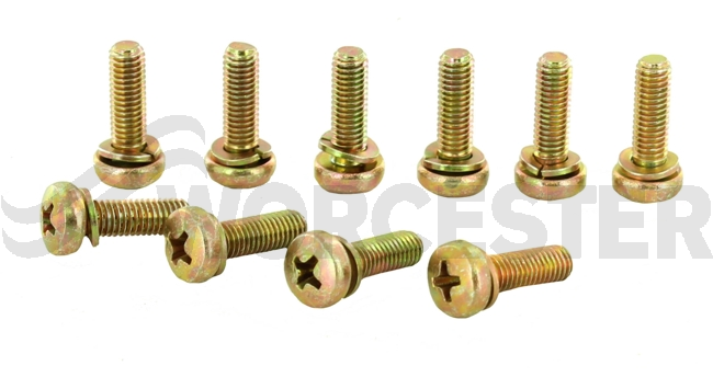 Screw (10x)