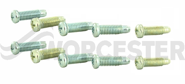 Screw (10x)