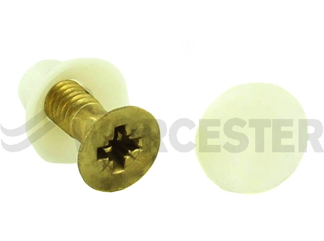Screw (10x)