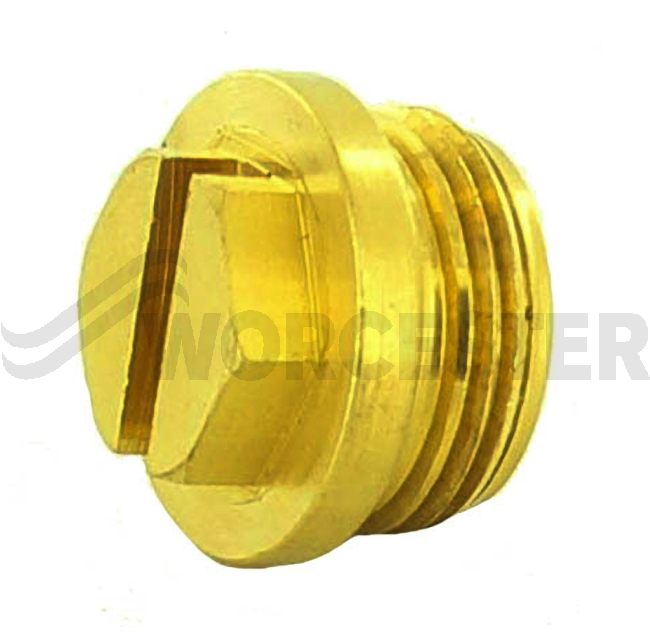 Sealing Screw