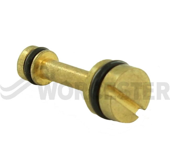 Plunger