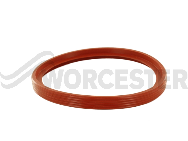 Flue gasket