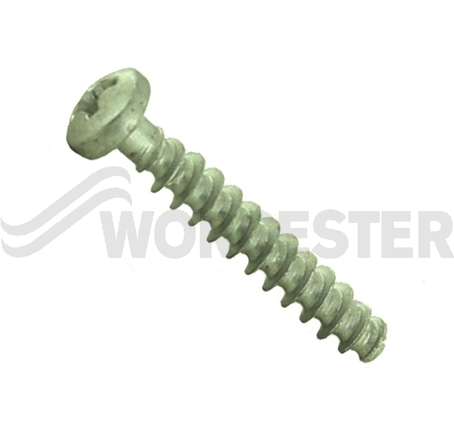 Screw