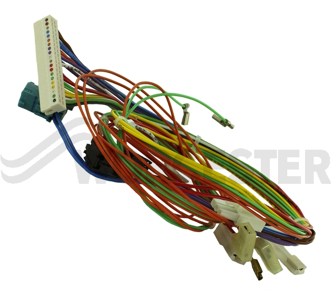 Harness main