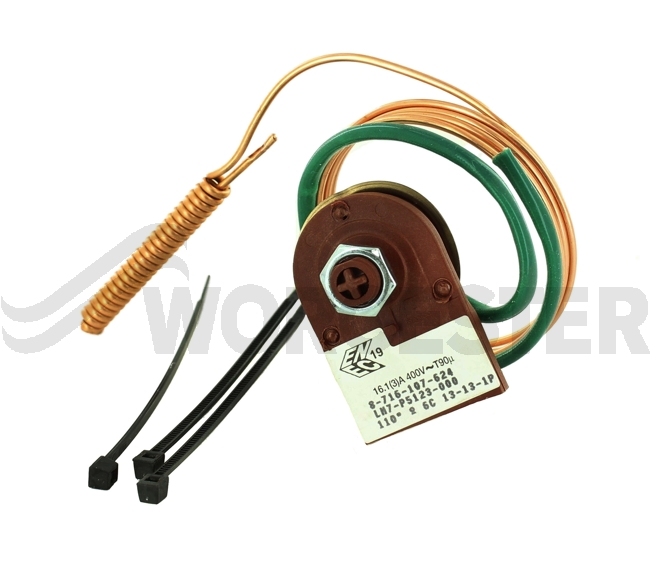 Manual Flue Thermostat