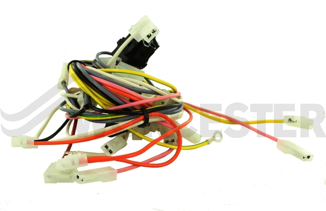 Harness Main