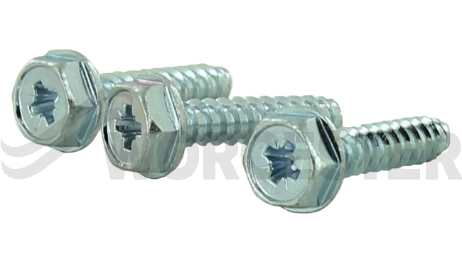 Screw No.10x20 Hex Flange Head (3x)