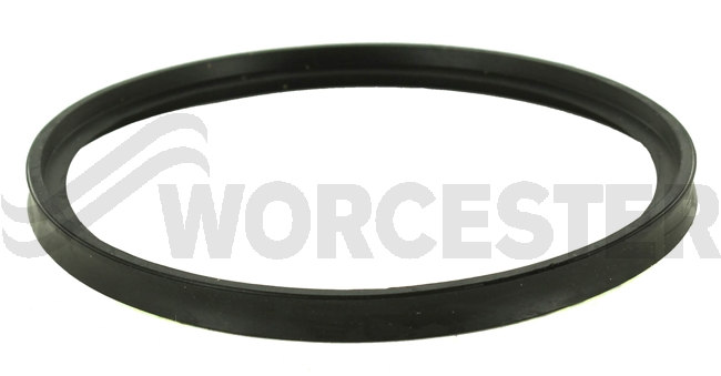 Seal 100mm x 8mm
