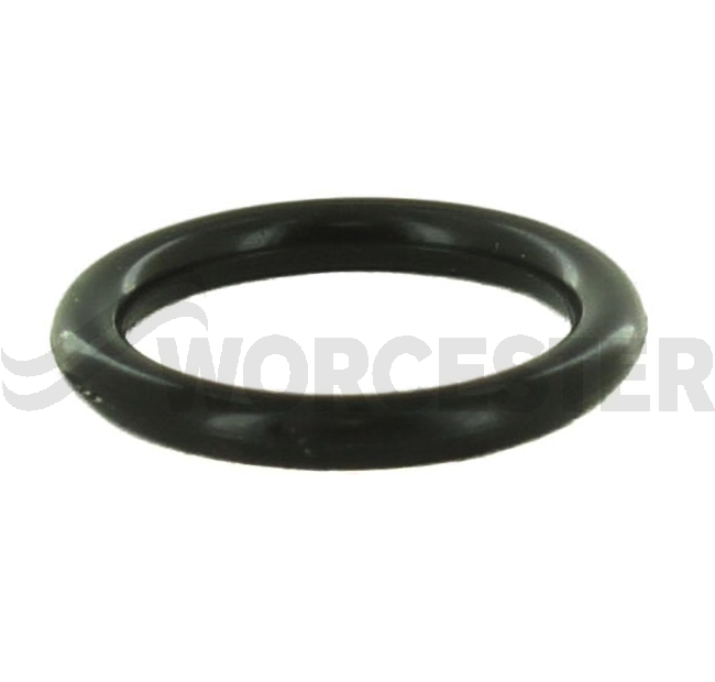 O-ring (1x)