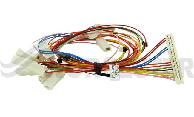 Harness main