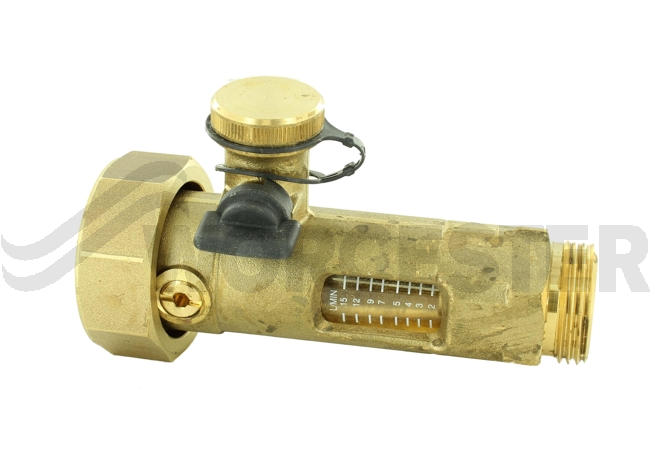 Globe valve