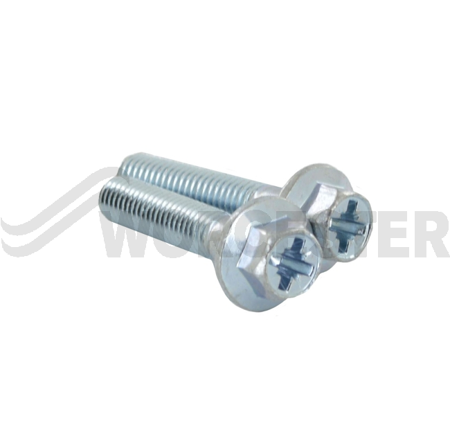 Screw M5x25-8.8-Z (2x)