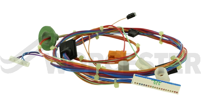 Harness main