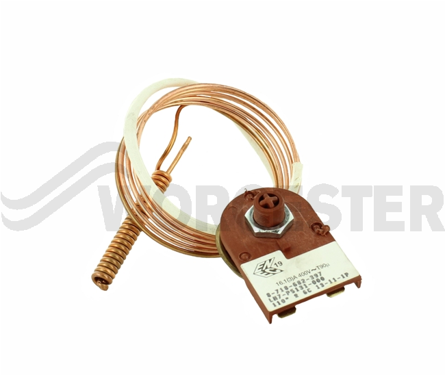 Thermostat flue manual
