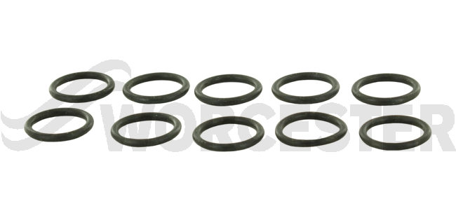 O-ring (10x)