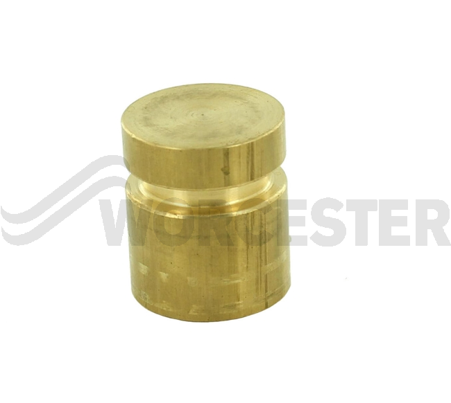 Pipe Plug
