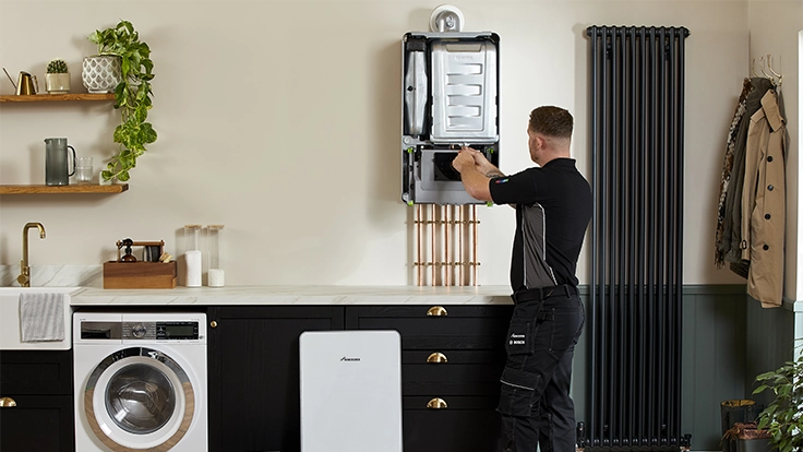 System flush & cleanse