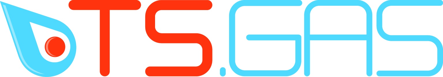 T S Gas LTD's Logo