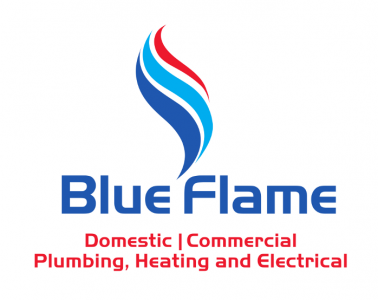Blueflame Services Ltd's Logo