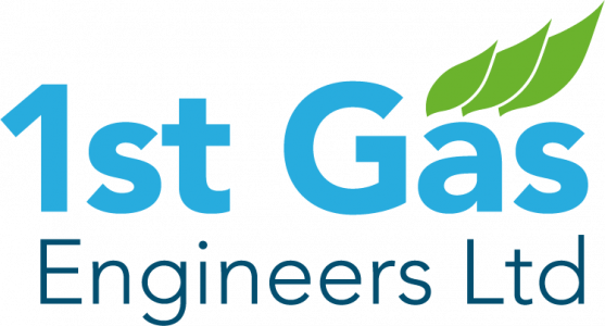 1st Gas Engineers Ltd's Logo