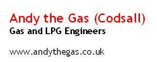 Andy The Gas (Codsall)'s Logo