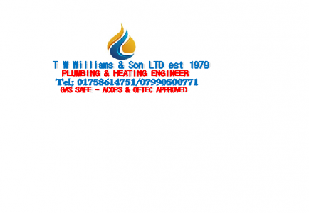 T Williams & Son Ltd's Logo